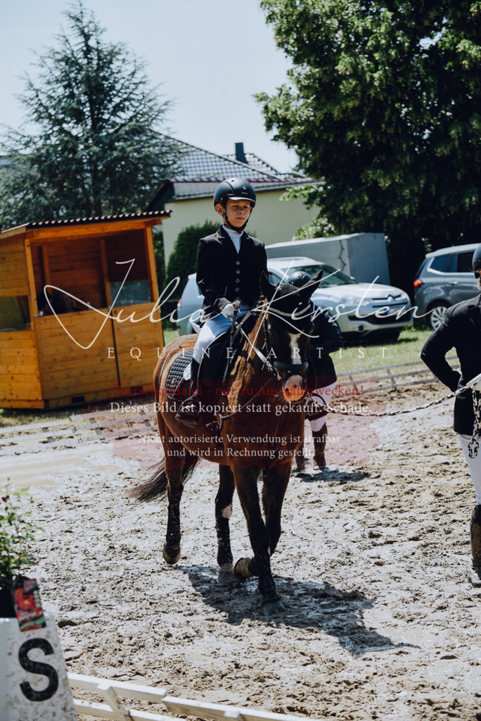 DSC_2273 | Pferde- und Turnierfotografie in Westsachsen. Pferdeportraits, Auftragszeichnungen und intuitive Kunst.