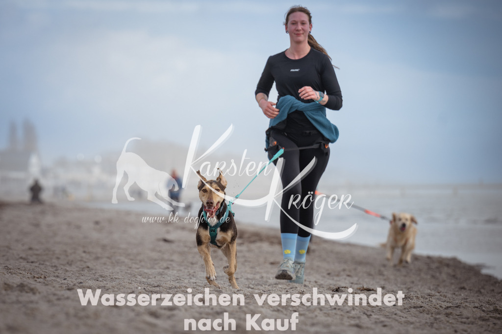 1211_ZZ94756 | kk-dogfotos
