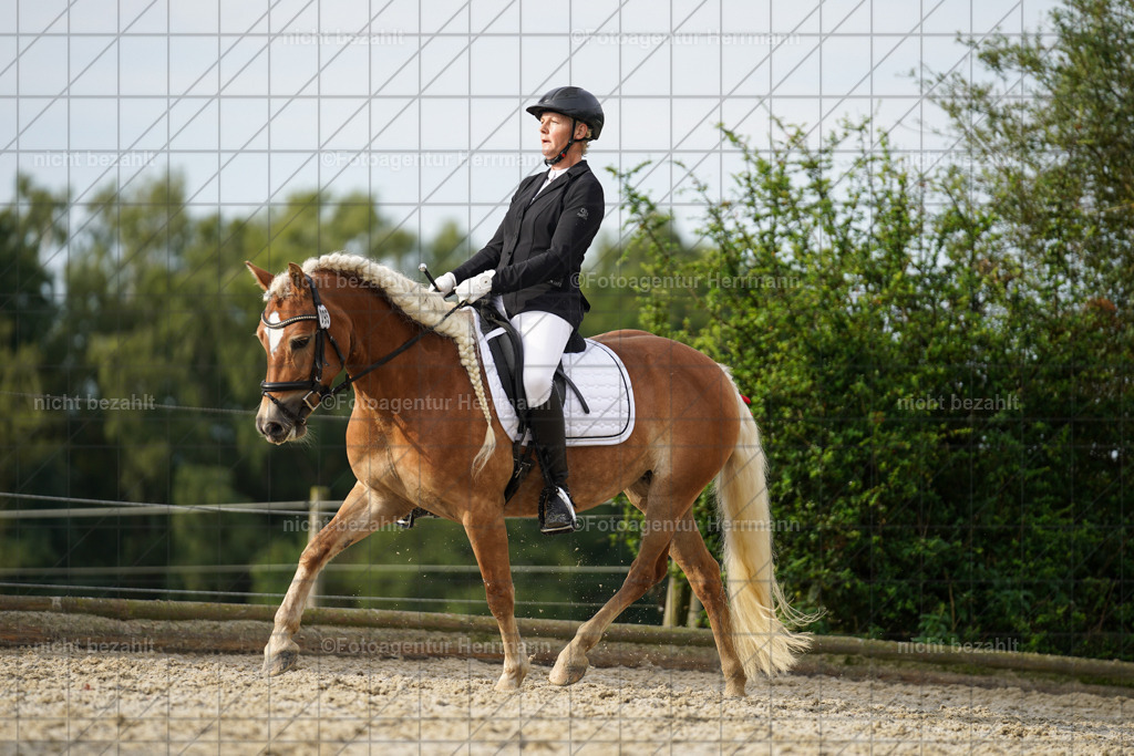 20230826-FAH04543 | Forstinning, 2023, Dressurturnier, Turniersportbilder, Turnierfotografen Bayern, Fotoagentur Herrmann, Reitsportfotografie, Turnierbilder