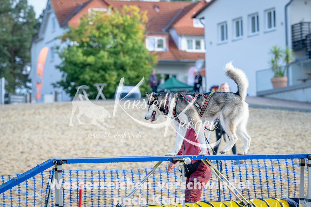 0953_ZZ92994 | kk-dogfotos