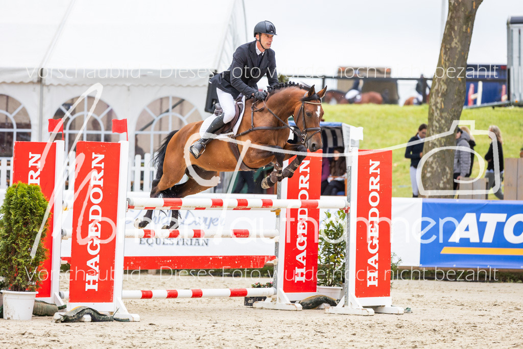 BHO-2PhSpr-M-335 | MomenTaufnahmen Pferdesportfotos