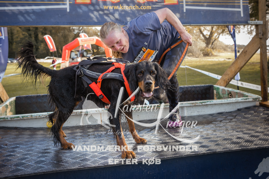 1320_ZZ90212-2 | kk-dogfotos