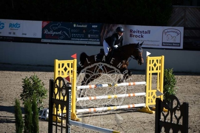 2B4A0218 | pixelfaenger - Realisiert mit Pictrs.com