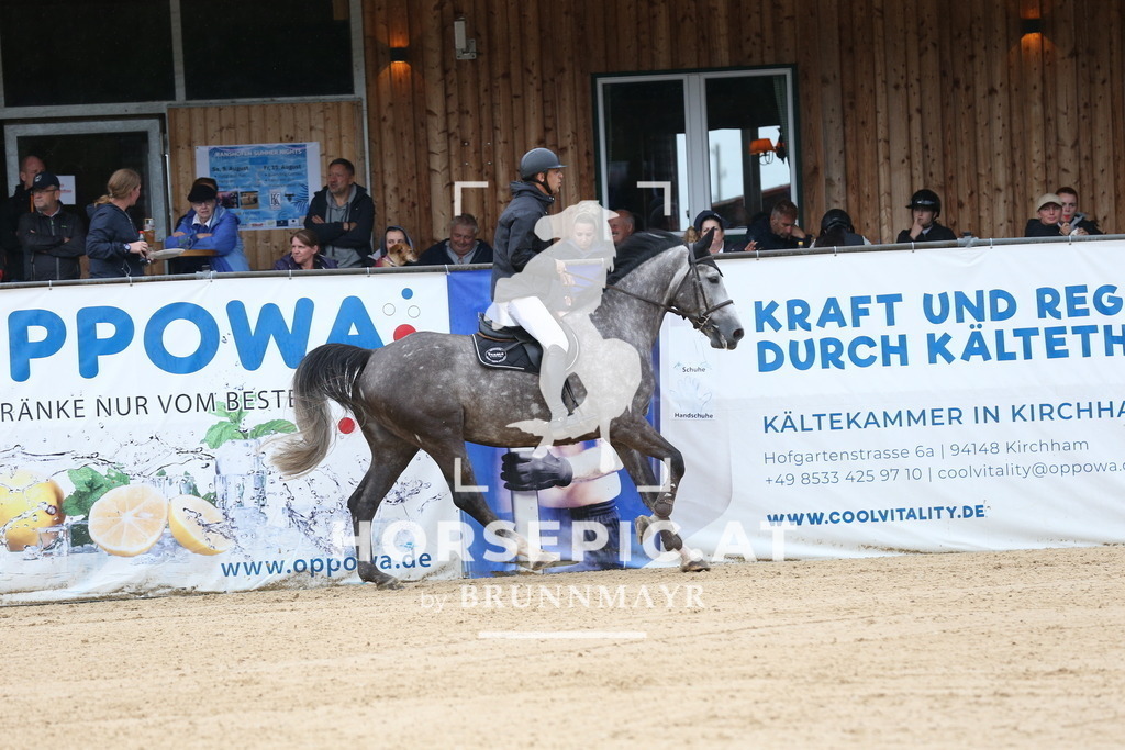 DL2Q6480 | Willkommen bei Brunnmayr - Design & Fotografie – Ihrem Spezialisten für Reitturniere und Pferdeveranstaltungen in Oberösterreich, Salzburg und Bayern! Seit über 17 Jahren sind wir leidenschaftlich dabei.