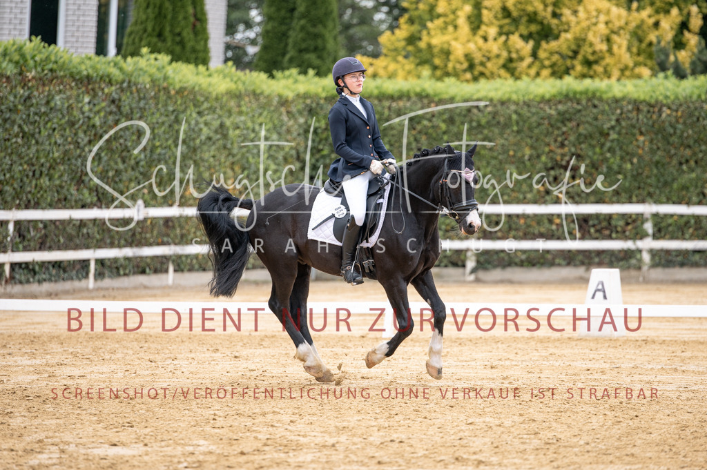 Schugtsche-Aluta25-40.DressurprfA_-473 | Schugtsche Fotografie - Realisiert mit Pictrs.com