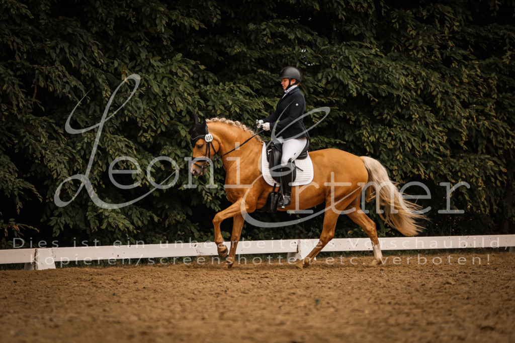 DoDrA200255 | Leoni Ertmer Photography - Realisiert mit Pictrs.com