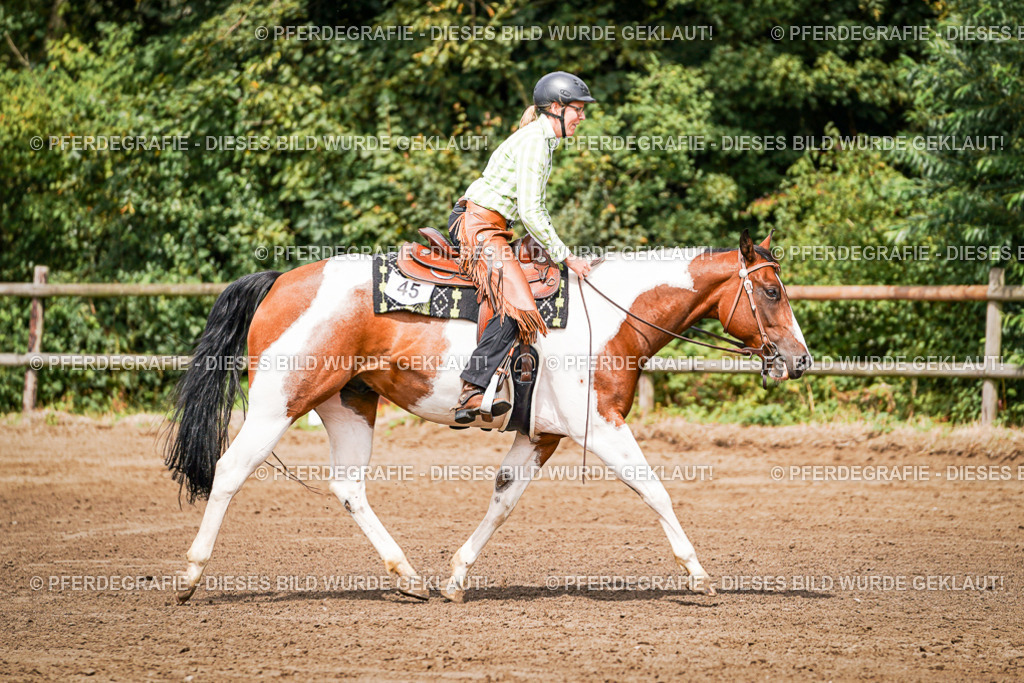 DSC07176 | Pferdegrafie