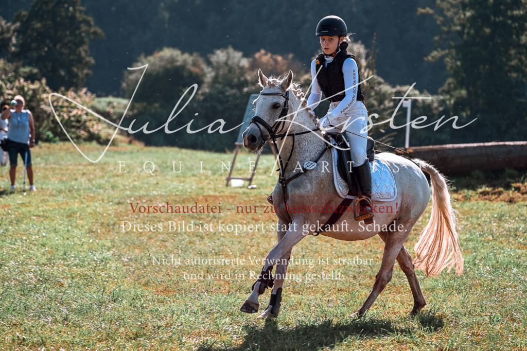 DSC_0642 | Pferde- und Turnierfotografie in Westsachsen. Pferdeportraits, Auftragszeichnungen und intuitive Kunst.