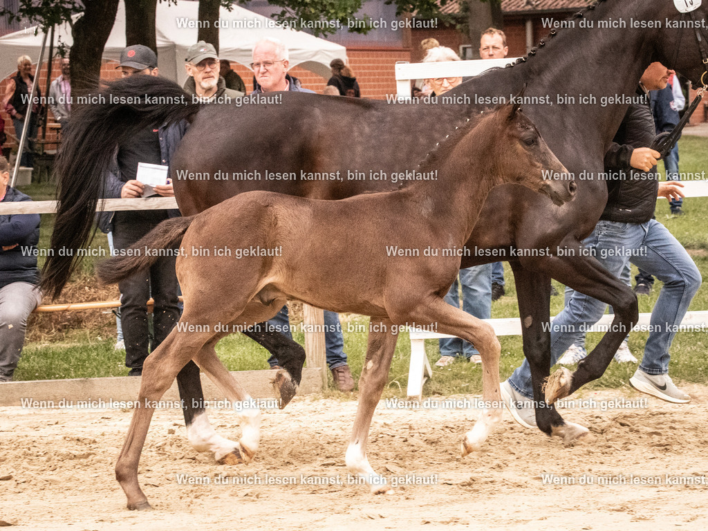 A10I0825 | photographylinaismer - Realisiert mit Pictrs.com