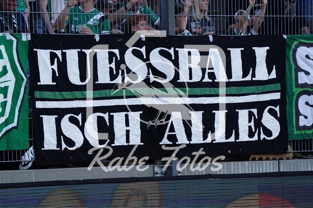 SON01083 | rabefotos