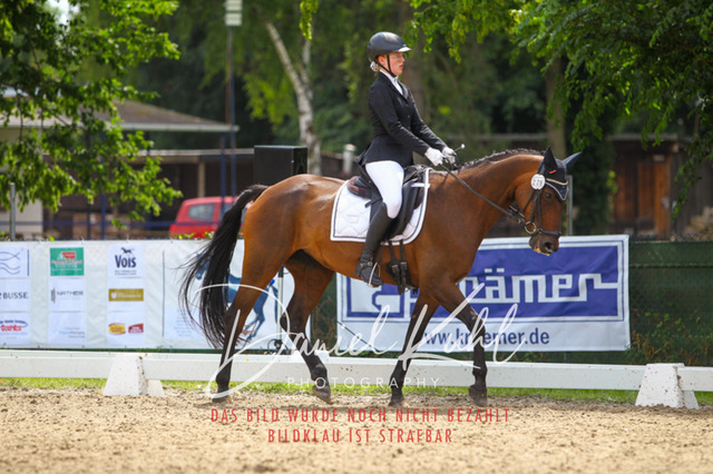 DKP42220 | Turniersportfotografie; Pferdefotografie; Dressurfotografie