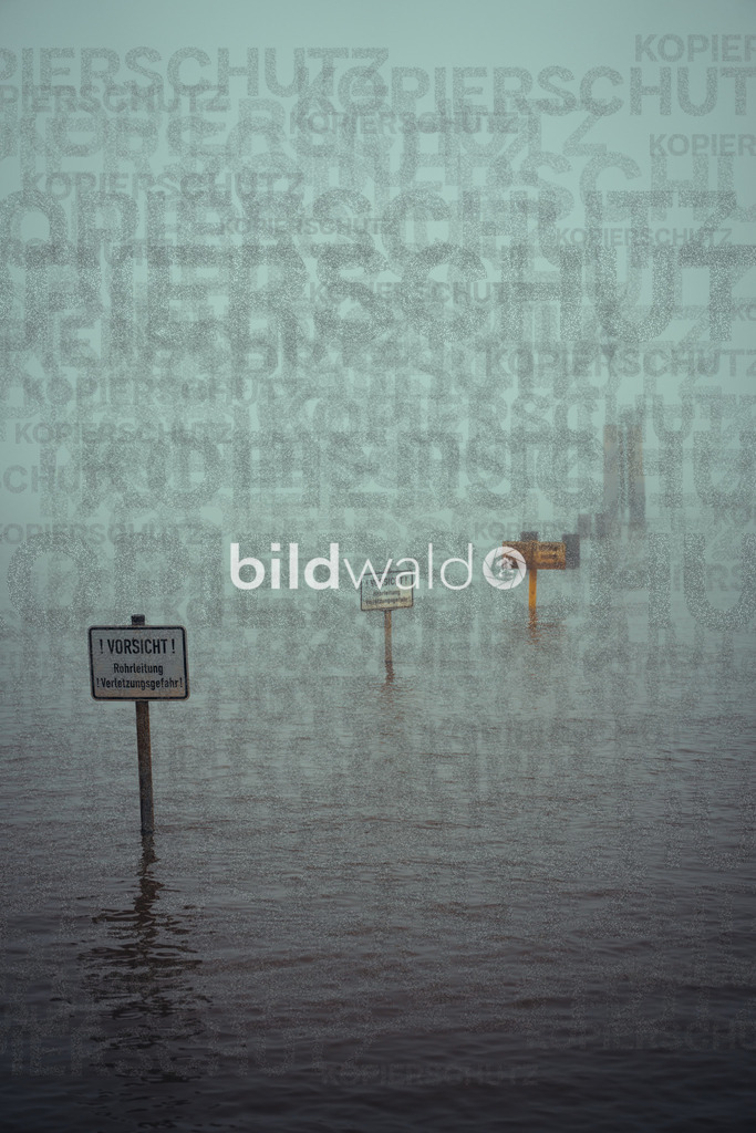 christmas tree elsfleth crazy mad thingy-3851 | BILDWALD - eine Auswahl an Bildern von Thomas Perrotton zum bestellen und genießen. Alle Bilder von Thomas Perrotton - Alle Bilder mit einer SONY Kamera gemacht - SONY TAMRON SIGMA PHOTOSHOP LIGHTROOM BILDWALD Online kaufen Bilderwald Wandbilder - Realisiert mit Pictrs.com