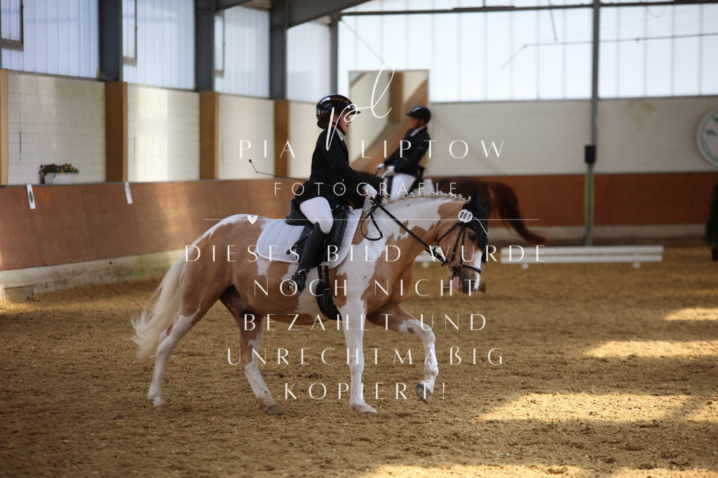 IMGT5215 | pl-fotografie