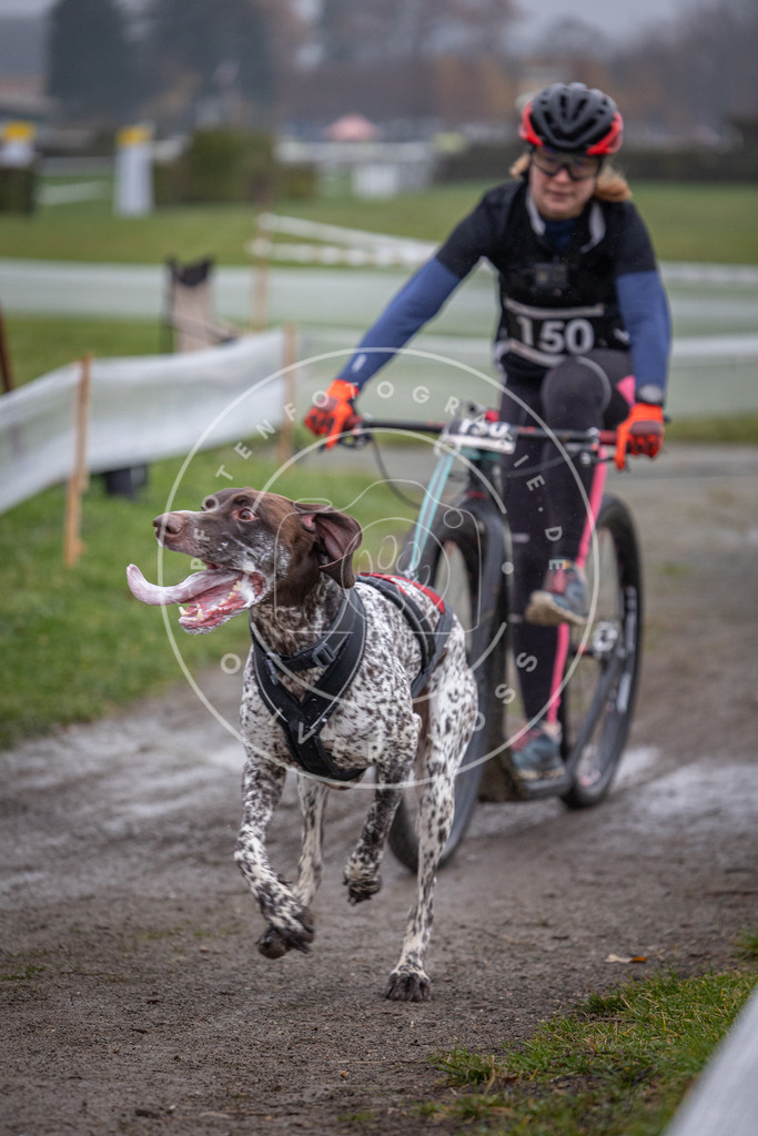 CaniXpix_0L8A0853 | Hundefotografie, Tierfotograf, Pfotenfotografie, Fotoshooting Hund, Hunde Portrait, Hundesport, Hundeportraits, Heideshooting, Hunde, Sportfotograf, Hundefotograf, Turnierhundsport, THS,  - Realisiert mit Pictrs.com