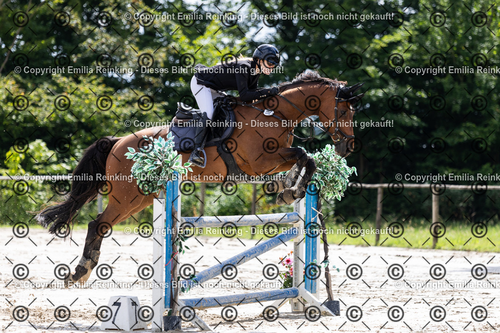 CL5A0516 | Emilia Reinking Fotografie - Realisiert mit Pictrs.com