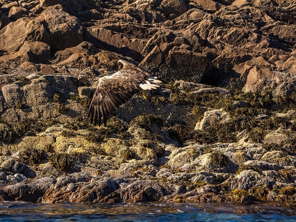 P1001650-LR-topaz-denoise-enhance | Natur im Moment - Realisiert mit Pictrs.com