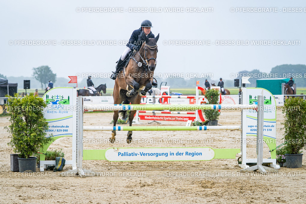 DSC00077 | Pferdegrafie