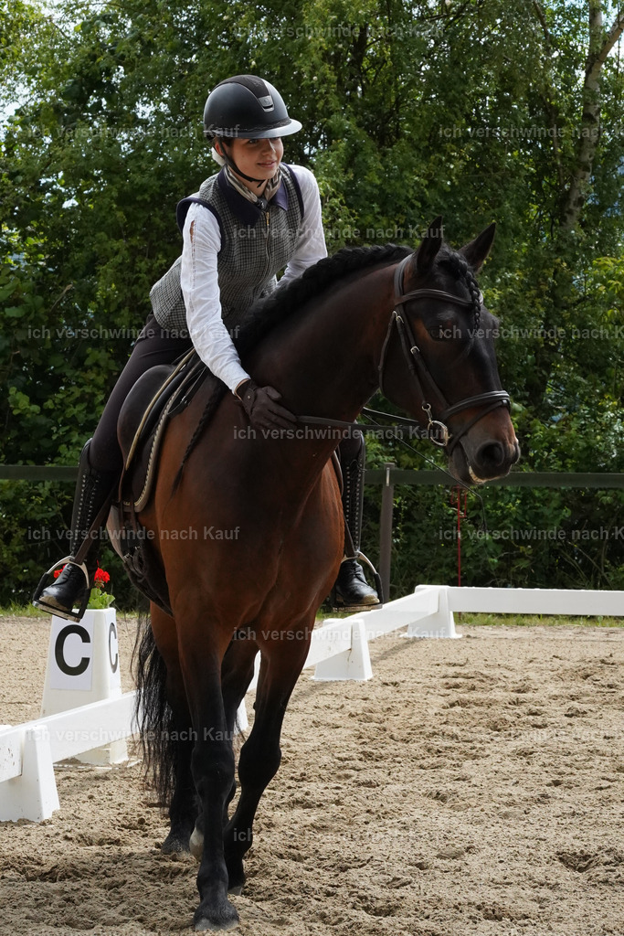 KlasseE_Lucie481 | working equitationturnier fotograf videograf stoibphotography marixx film working equitation deutschland reitsport turnierfotografie eventfotografie equestrian events