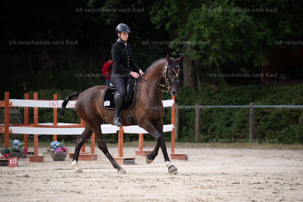 WL_ST_25_stoibphotography__SO10365 | working equitationturnier fotograf videograf stoibphotography marixx film working equitation deutschland reitsport turnierfotografie eventfotografie equestrian events