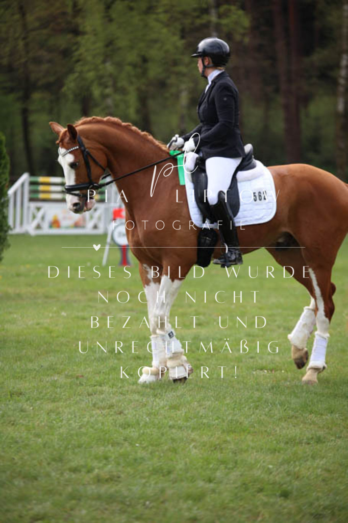 IMGT3457 | pl-fotografie