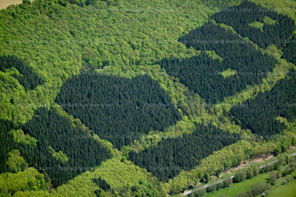 3500640 | Waldstrukturen bei Richelbach