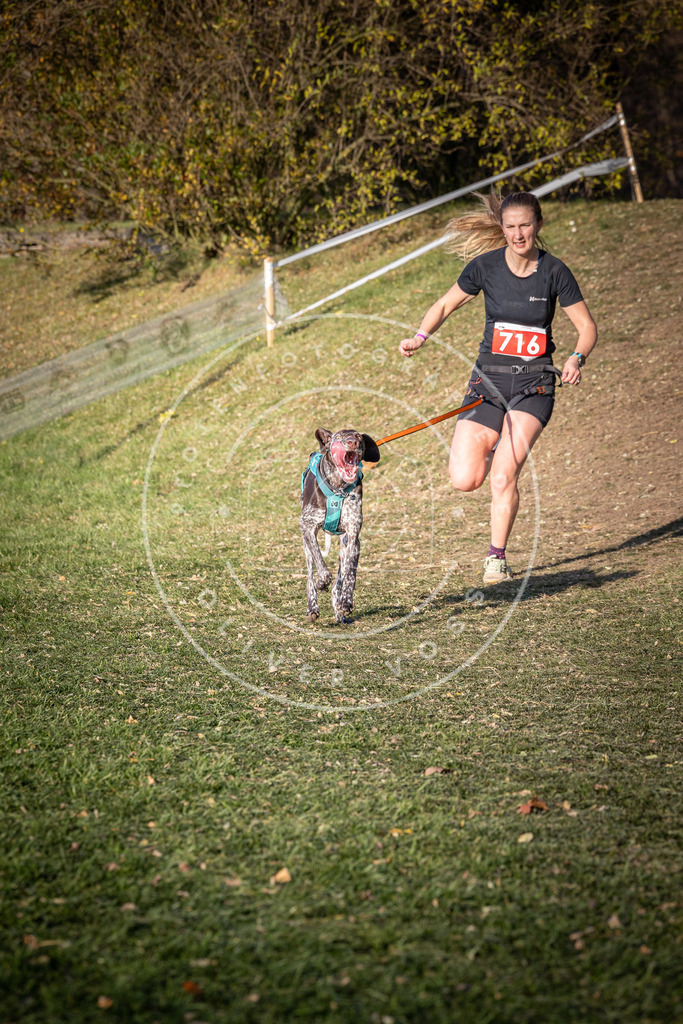 CaniXpix_0L8A9645 | Hundefotografie, Tierfotograf, Pfotenfotografie, Fotoshooting Hund, Hunde Portrait, Hundesport, Hundeportraits, Heideshooting, Hunde, Sportfotograf, Hundefotograf, Turnierhundsport, THS,  - Realisiert mit Pictrs.com