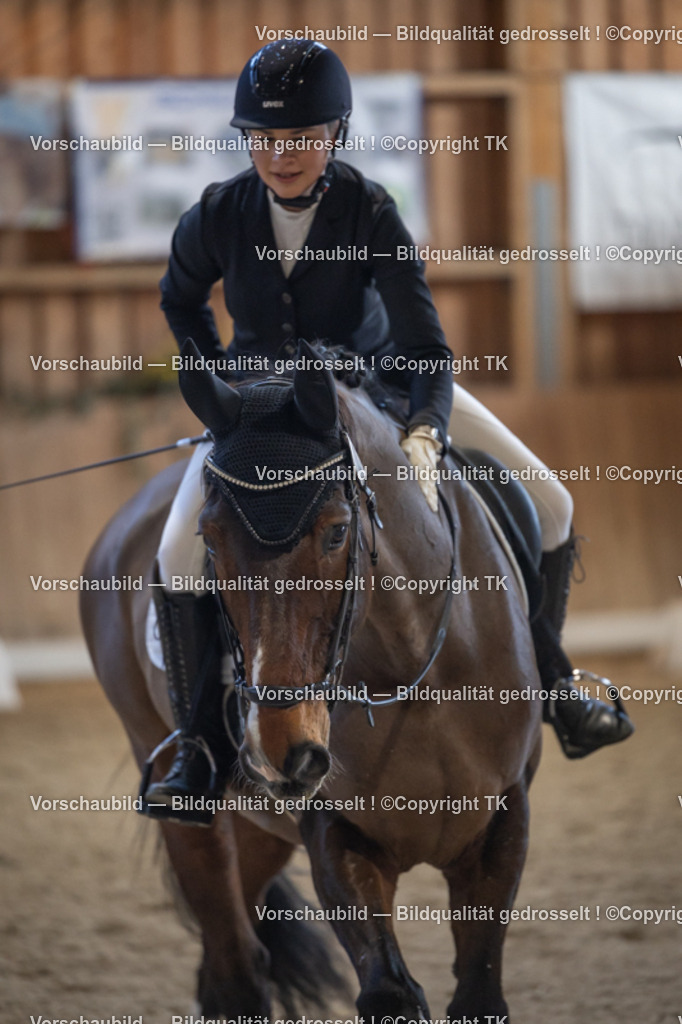 _D5A4697 | Emotionale Pferde- & People-Fotografie rund um Heidelberg, Leimen & Umgebung. Natürliche Fotos von Pferd, Mensch & Familie. Jetzt Termin sichern!