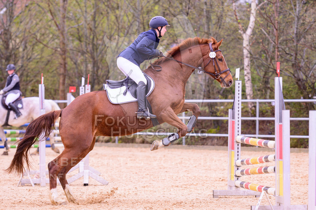 12042026-Mammendorf-Prfg38-0555 | Fokus Hufschlag Fotografie - Realisiert mit Pictrs.com