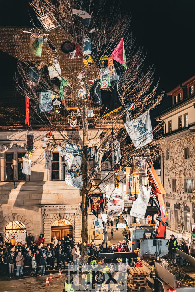 Guuggerbaum 2026 | Stimmungsvolle Fotokunst aus Luzern. Erlebe den Pilatus, den See und die Stadt Luzern in exklusiven Aufnahmen in der Fotogalerie & Shop. - Realisiert mit Pictrs.com