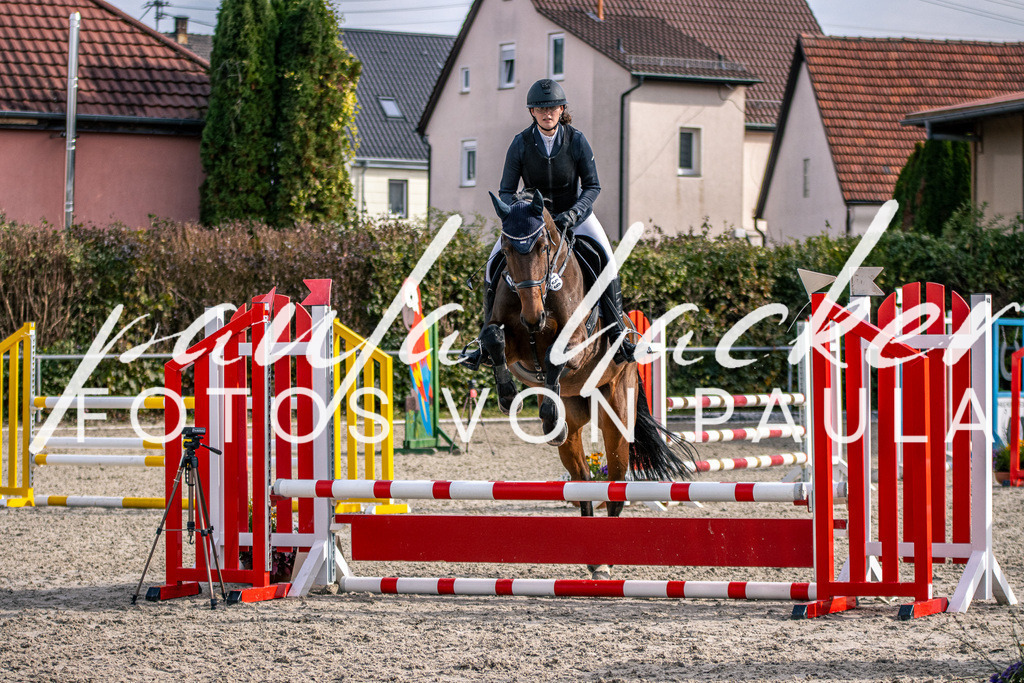 IMG_5609 | Erleben Sie dynamische Sport- und emotionale Tierfotografie in Süddeutschland mit Fotos von Paula. Spezialisiert auf Pferde- und Hundefotografie sowie Sportevents. Kontaktieren Sie mich für einzigartige und ausdrucksstarke Bilder Ihrer besonderen Momente. - Realisiert mit Pictrs.com