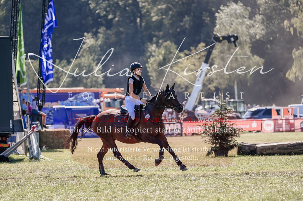 DSC_3270 | Pferde- und Turnierfotografie in Westsachsen. Pferdeportraits, Auftragszeichnungen und intuitive Kunst.