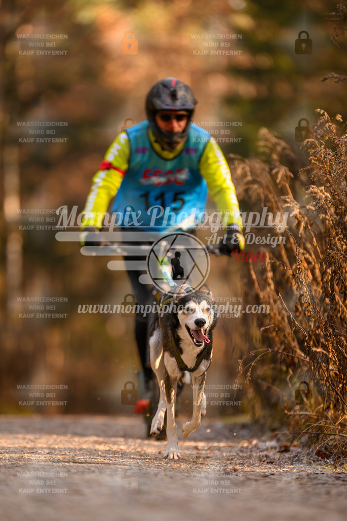 MompixPhotography_DM_AKDM_SO_2025_Scooter-186 | PayLife
