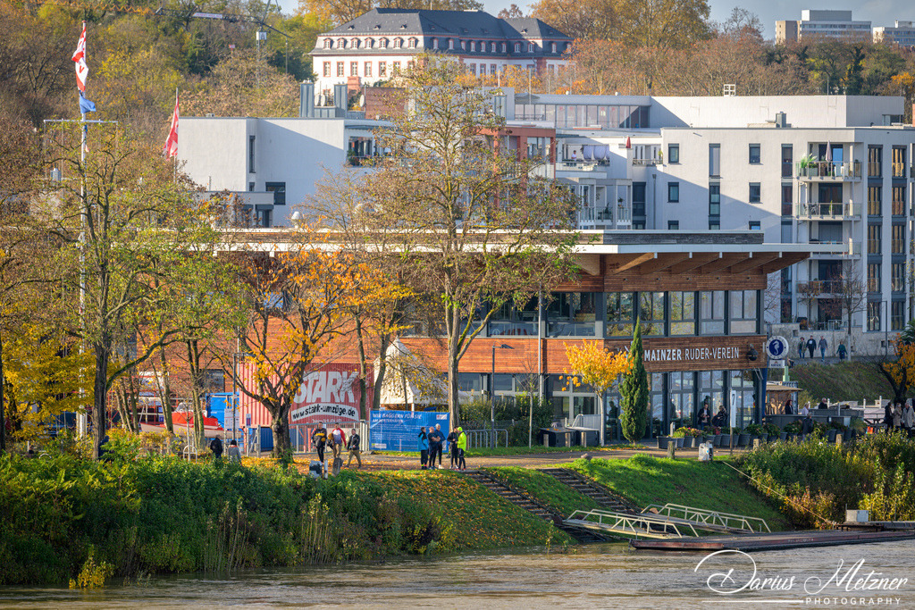 _DSC1730 | Fotografien, Fotos und Bilder aus Mainz, Frankfurt, Wiesbaden und anderen Orten auf der Welt - Fotografiert von Darius Metzner