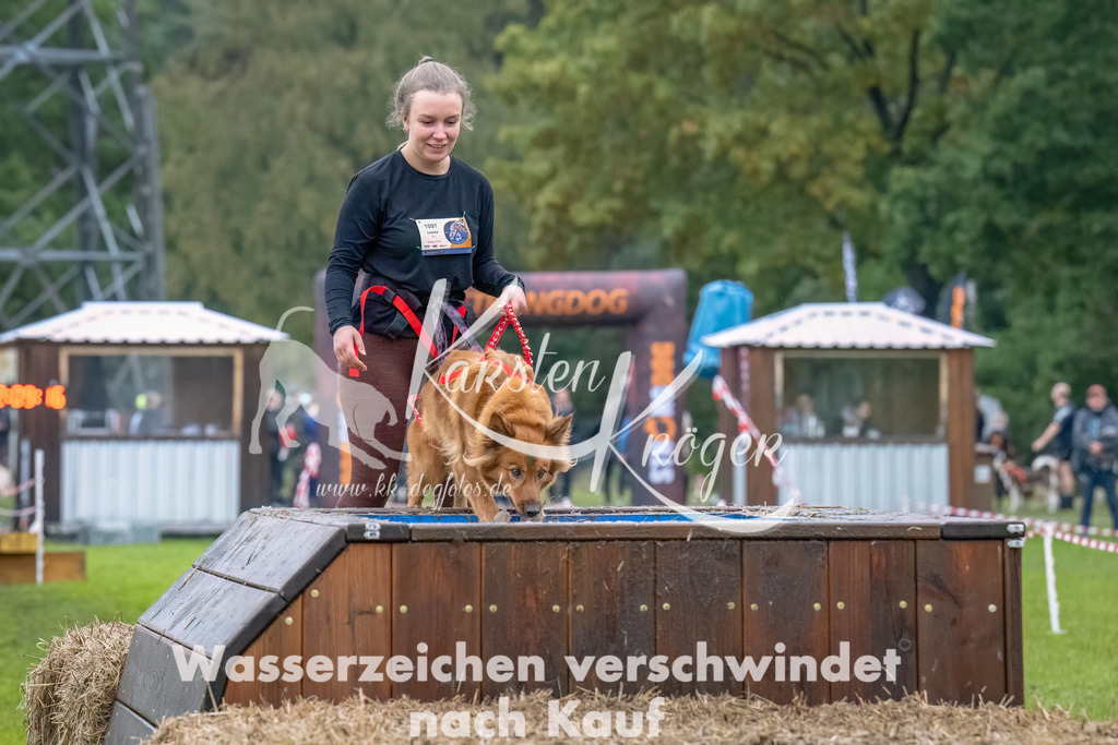 1210--16 | kk-dogfotos