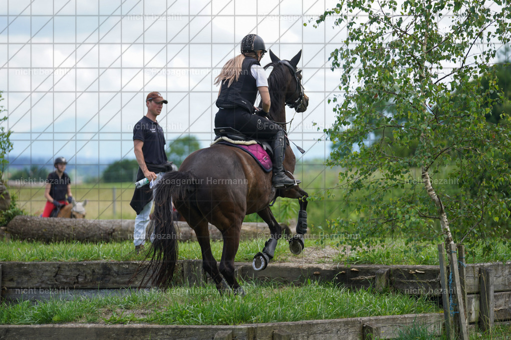 20240622-FAH07374 | Turnierfotografen Bayern, Reitsportbilder aus dem Geländekurs mit Felix Etzel auf dem Gut Waitzacker 2024