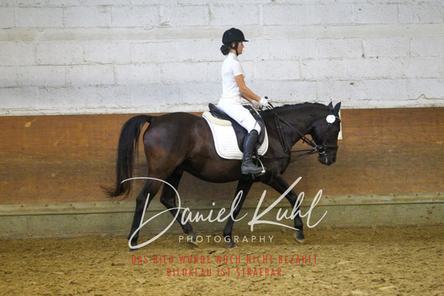 DKP44470 | Turniersportfotografie; Pferdefotografie; Dressurfotografie