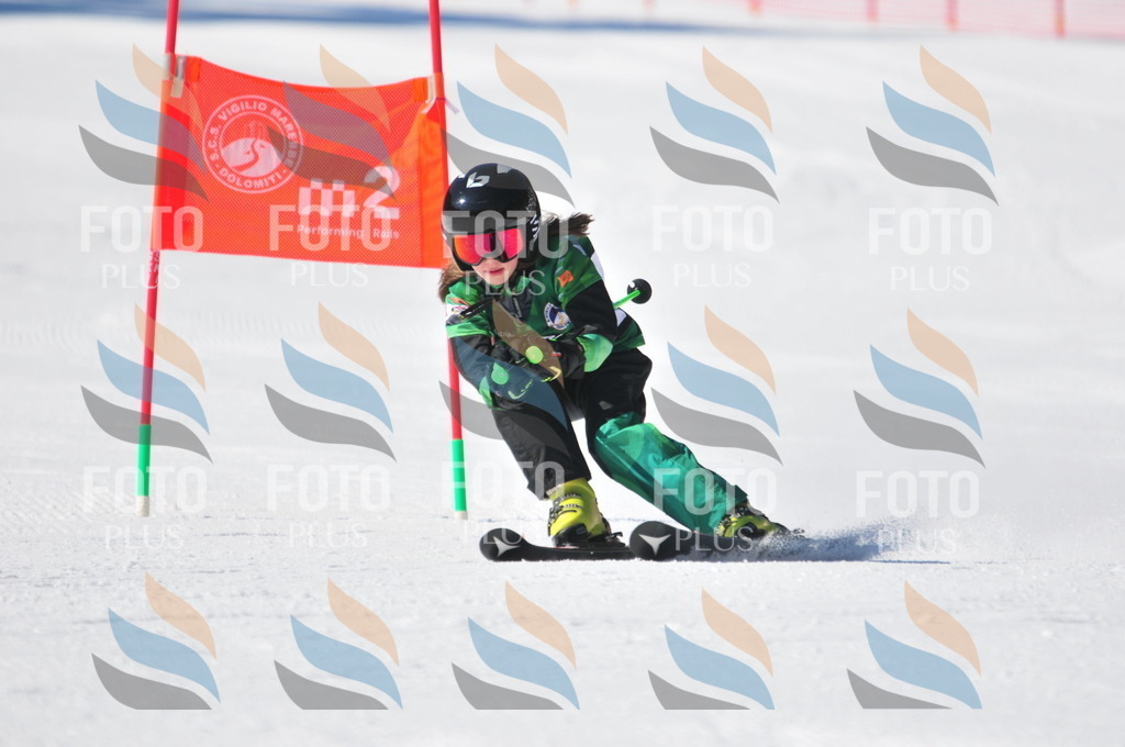 C2290 | holidayphoto