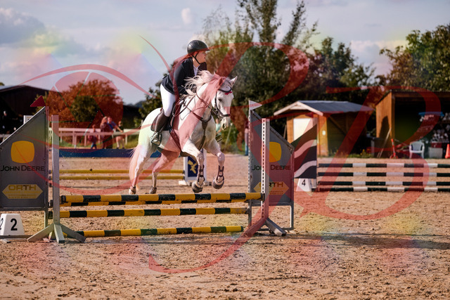 2026_10_03_Siefer-Hof_153926_Z81_54439509 | Professionelle Reitsport-, Turnier- und Eventfotografie von Robert Broda. Galerien mit ausgewählten und bearbeiteten Bildern direkt online ansehen und bestellen.