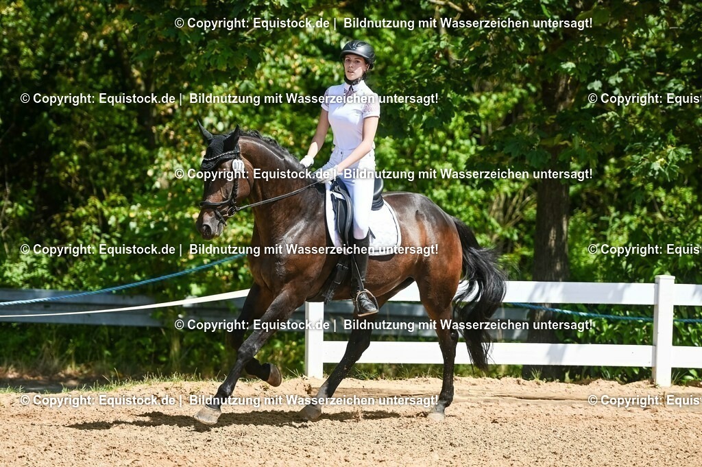 20230715_02_Dressurreiterprüfung Kl.L_0059 | equistock