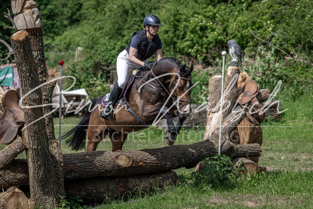 20260523-_3LI9122 | Tierfotografie Pferde, Hunde, Katzen, Haustiere.
Turnierfotografie Reitturniere, Reiten, Springreiten, Dressur in Hanau, dem Main-Kinzig-Kreis und dem Rhein-Main- Gebiet um Frankfurt