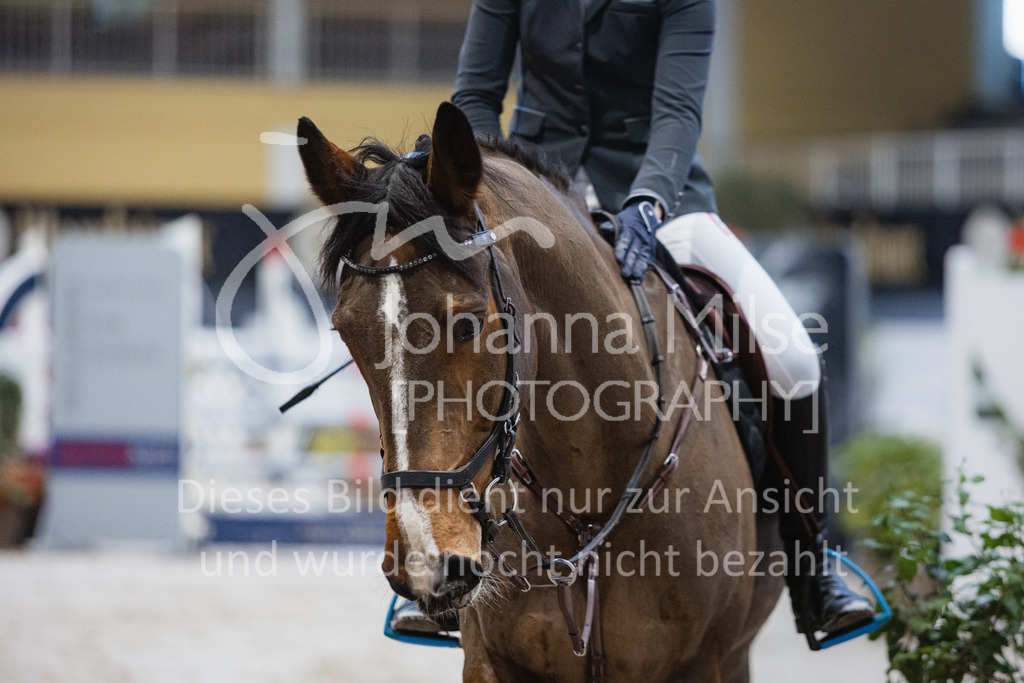 221217_Warstein_Stil-M-225 | Deine schönsten Turniermomente als professionelle Fotos! Entdecke hochwertige Pferdesport-Fotografie im Online-Shop. Jetzt Fotos finden & bestellen!