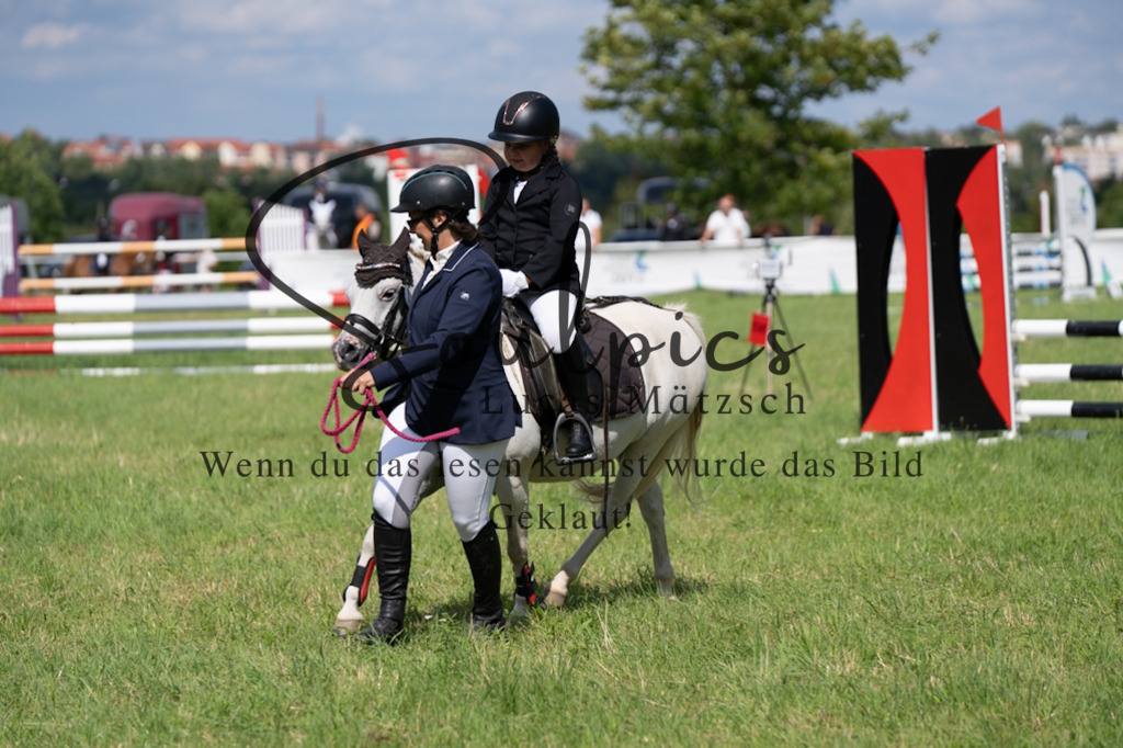 A7V03282 | Pferdefotograf