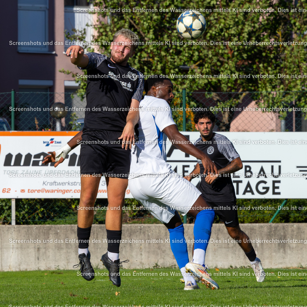 7K3A4671 | Professionelle Sportfotos aus Österreich. Für Sport und Presse – jetzt deine Fotos entdecken und bestellen!