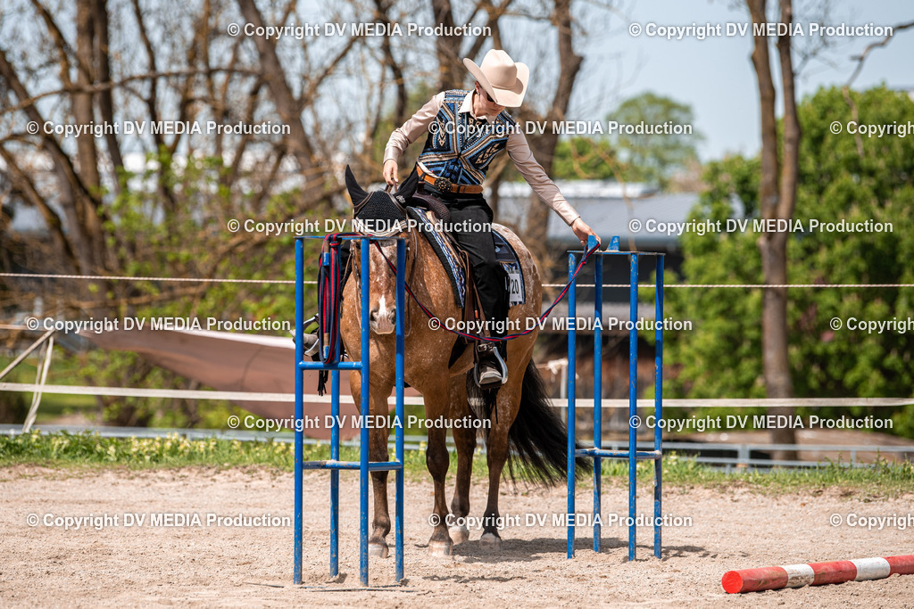 Balingen Tag 4-651 | dv-media-shop - Realisiert mit Pictrs.com