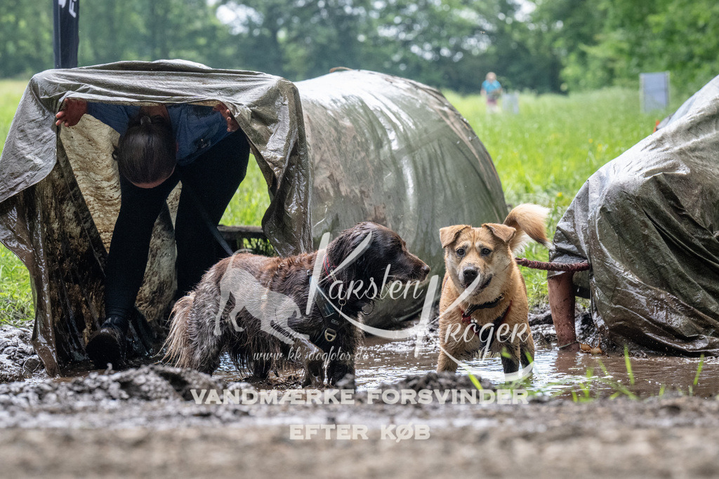 1109_ZZ91589 | kk-dogfotos