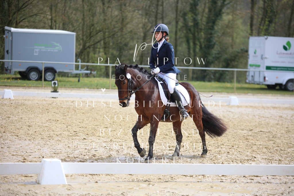 IMGT5078 | pl-fotografie