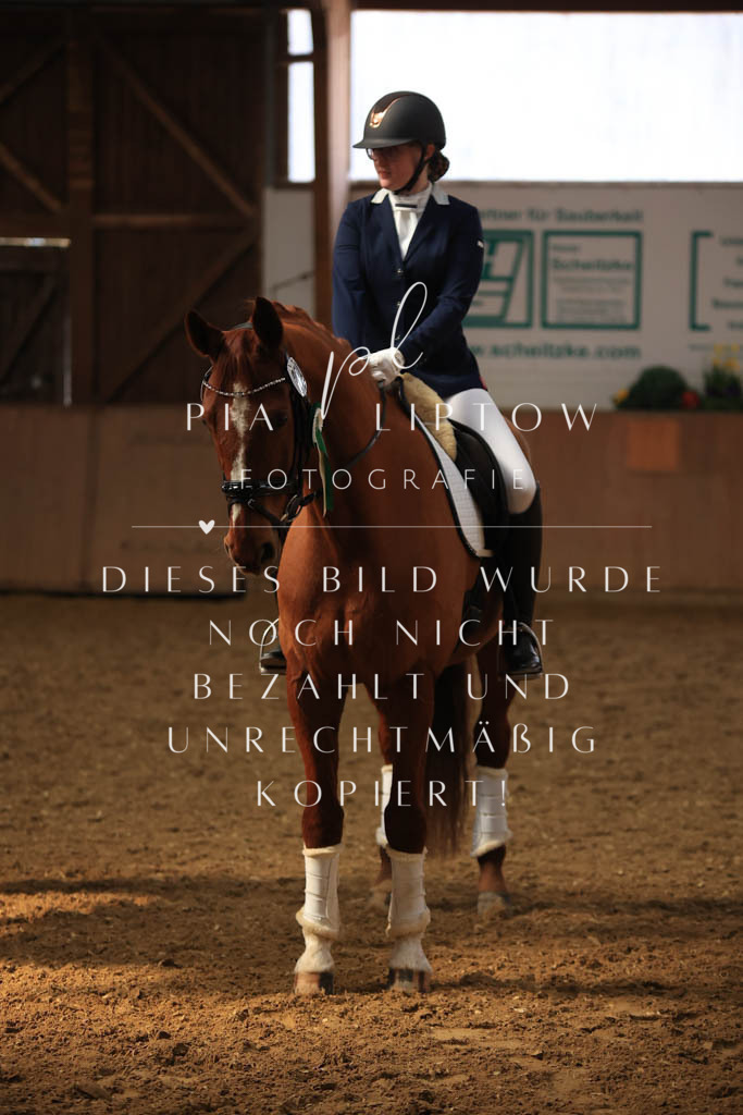 IMGT8604 | pl-fotografie