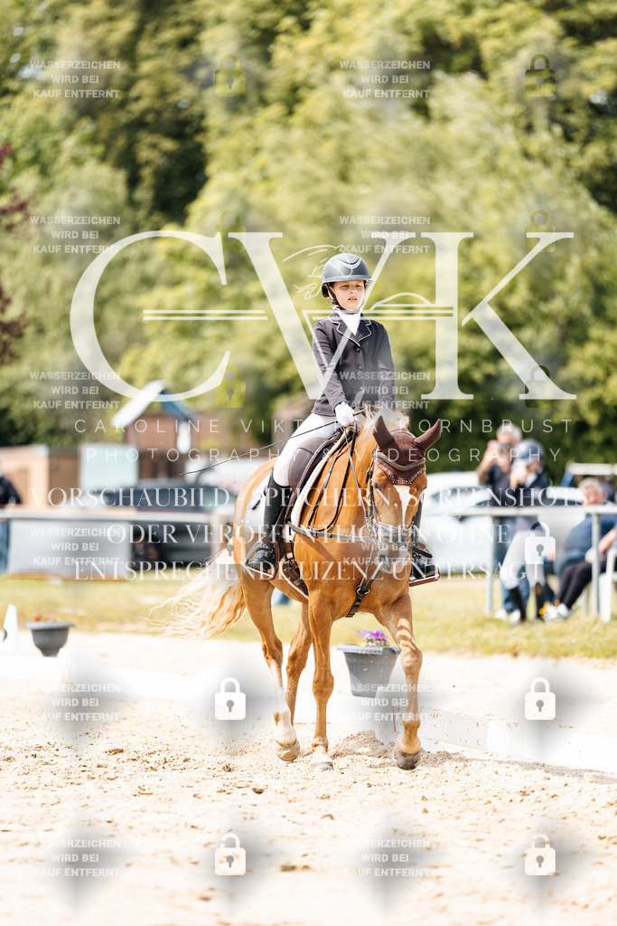 CK902448 | Turnierfotografie Pferdefotografie Trier Rheinland-Pfalz Pferdesport Reitsport Tierfotografie Sportfotografie Pferdevideo Pferdevideografie Equestrianvideography equestrianphotography  - Realisiert mit Pictrs.com