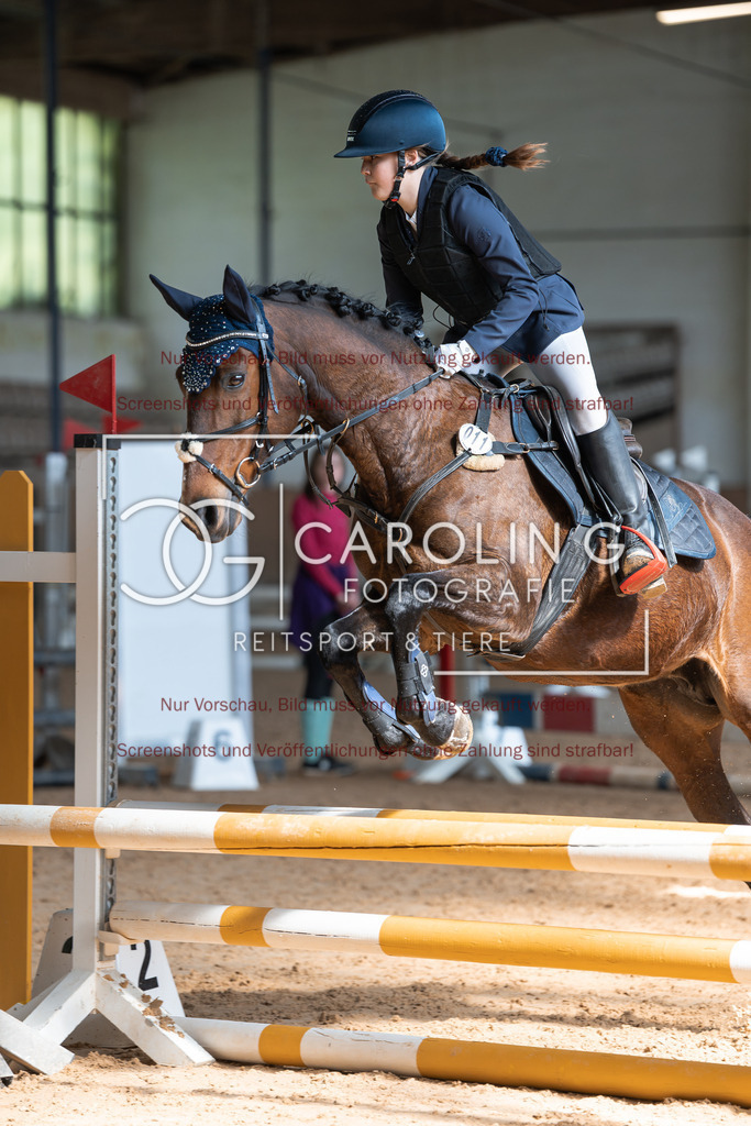 DSC00967 | Reitturnier_Göppingen_April_2026, Sophia_schmid, balera_2