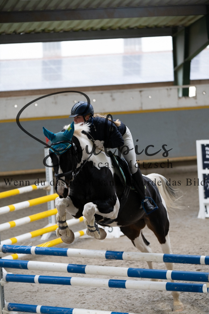 A7V01446 | Pferdefotograf